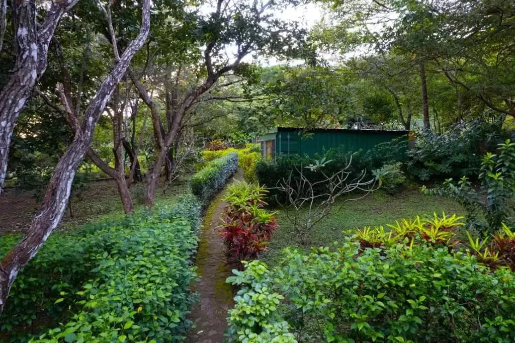 Countryside and Mountain Property For Sale in Curubandé - photo 19