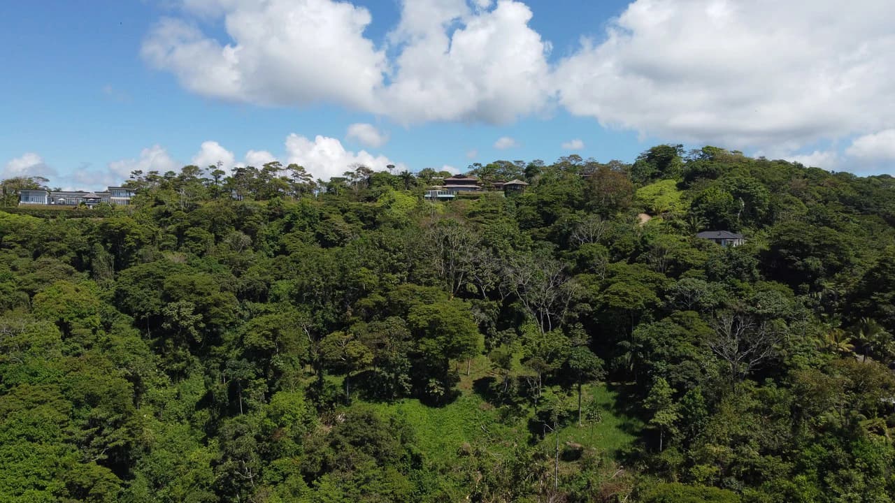 Exclusive 5.80 acres Ocean View Estate Lot in Costa Verde Estates – Escaleras - photo 8
