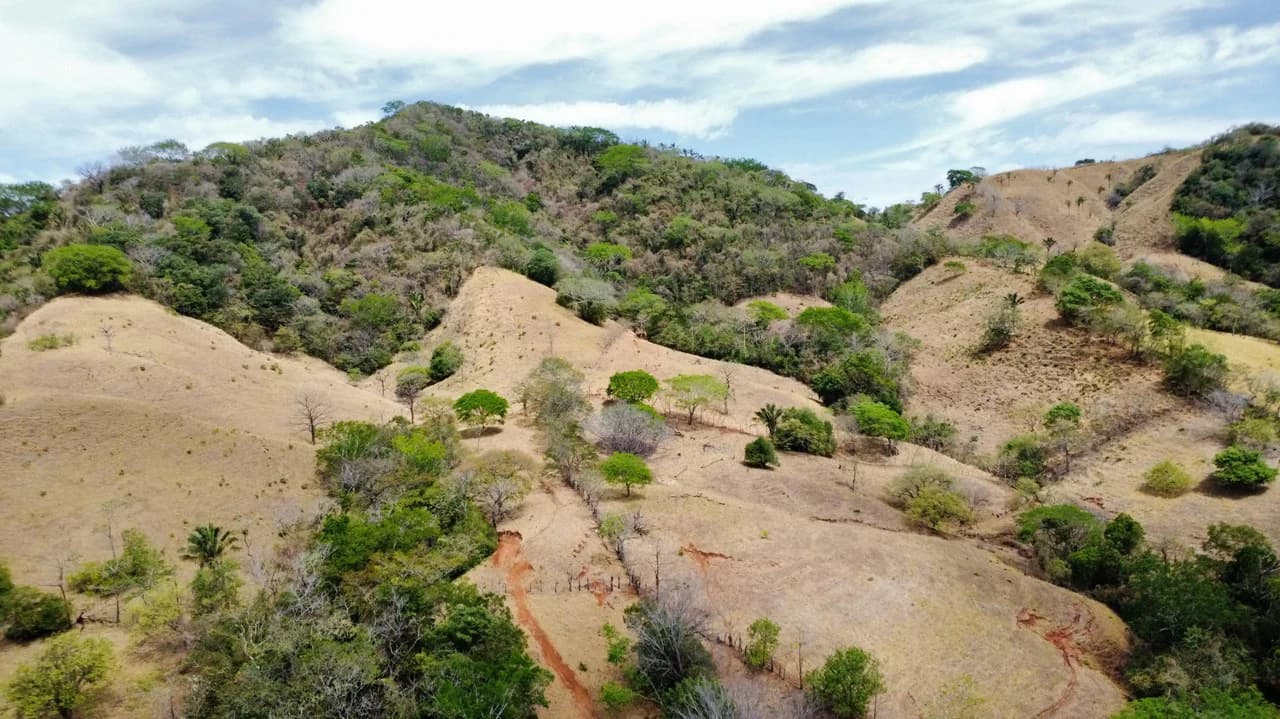 37-Hectare Ocean View Development Property Near Sámara, Buena Vista & Barrigona - photo 5