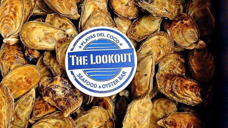 The Lookout Restaurant: Turnkey Business Ocean View Restaurant Coco Beach - photo 5