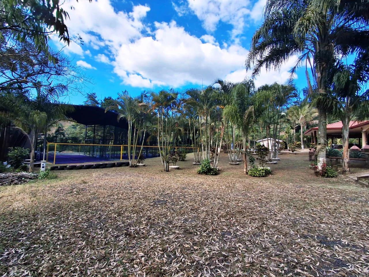 REDUCED $400K! Paddle Tennis and Pool!: NEW! Private Estate, Pool an 3 New Tennis Courts - photo 3