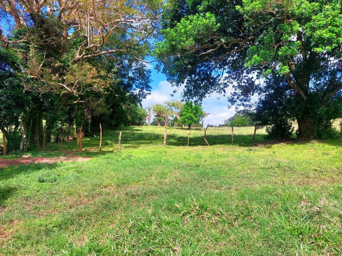 LA CABAÑA - 13+ ACRES & a TINY HOUSE & outstanding VIEWS - REDUCED PRICE - SELLER MOTIVATED - photo 14