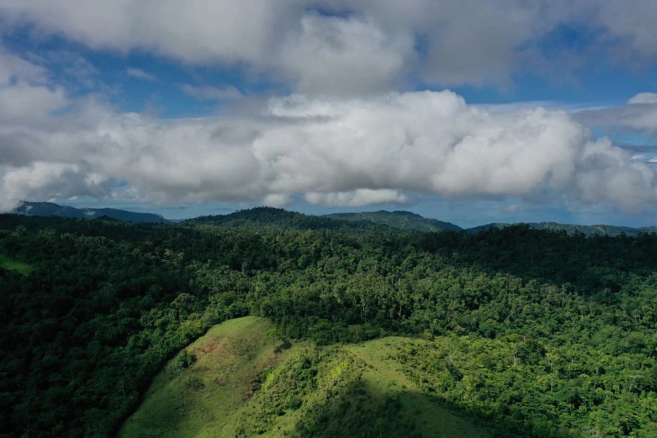 47 Acre Off Grid Ranch with Ocean & Mountain Views San Lorenzo Perez Zeledón - photo 16