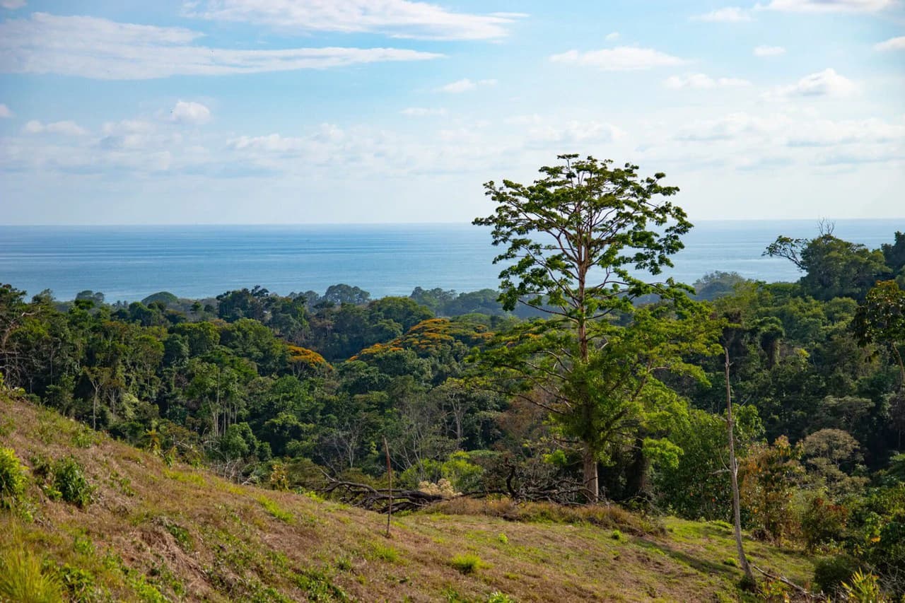 10 ACRES – Rare Ocean View Development Or Estate Property In Uvita – With Waterfall!!! - photo 2