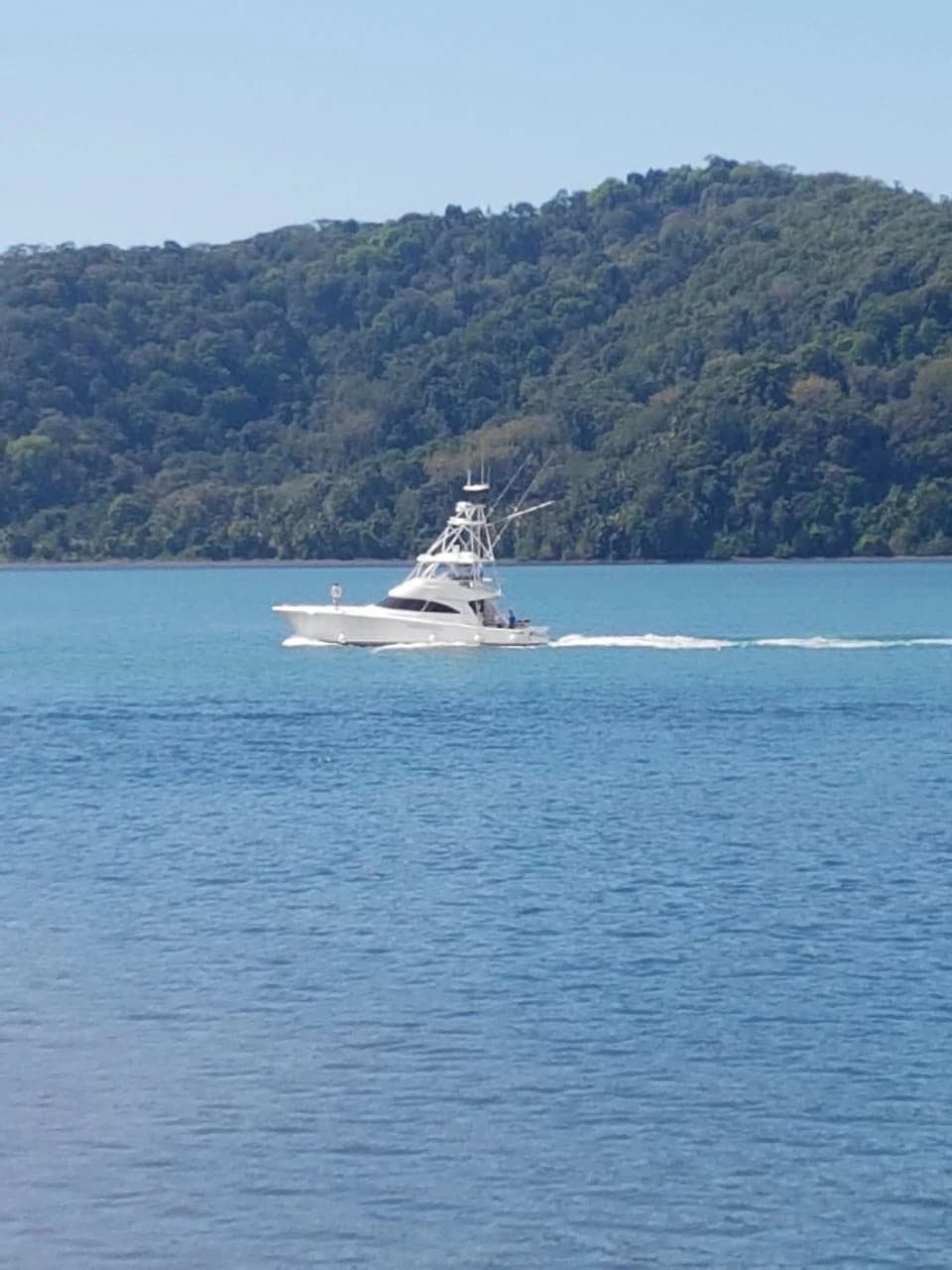 Nature Lover's Marina Resort Investment: Costa Rica South-Pacific Gulf Coast Marina, Rainforest Resort - photo 8