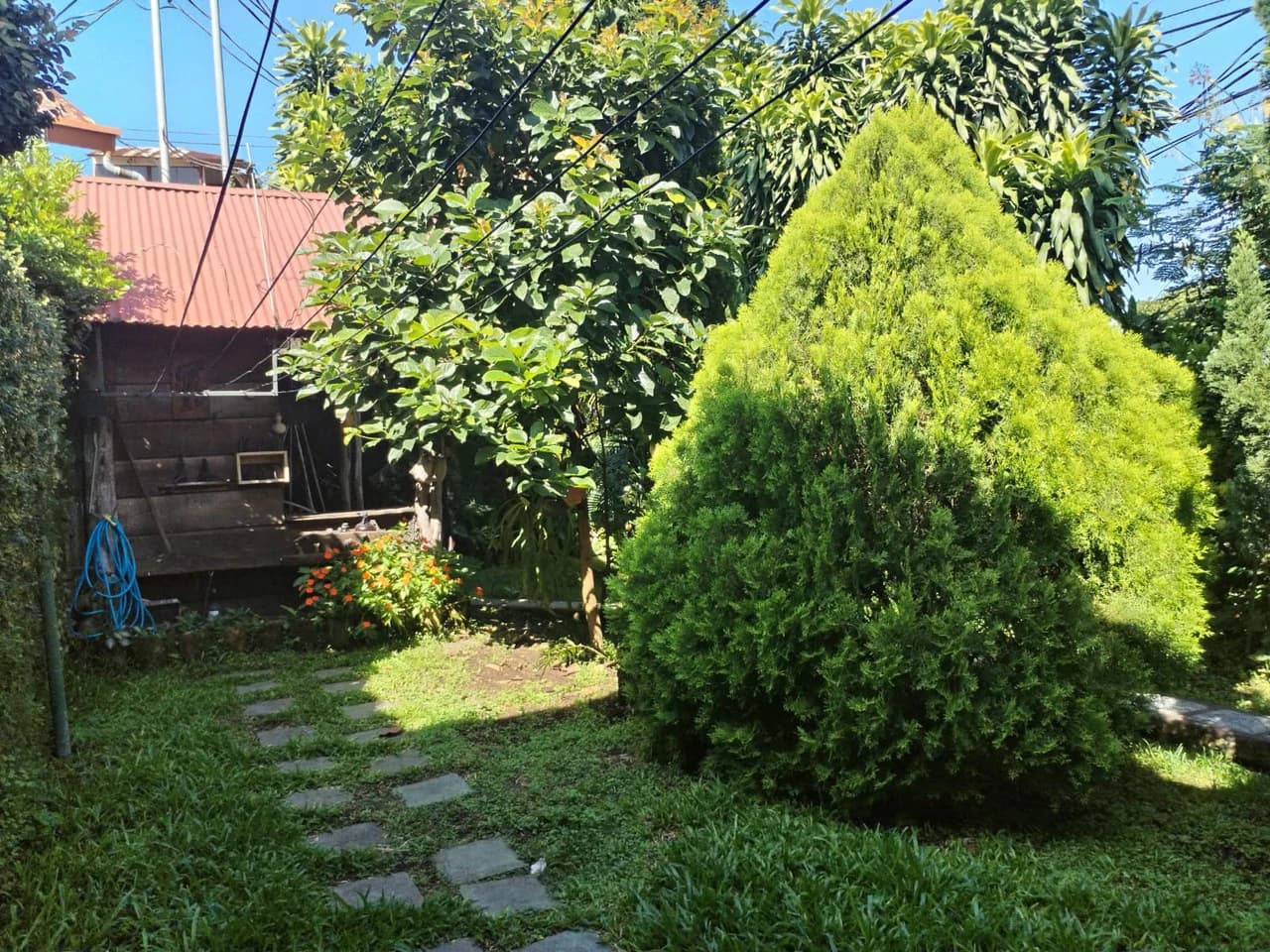 House in Grecia center just 100m from the Plaza Grecia Mall - photo 11