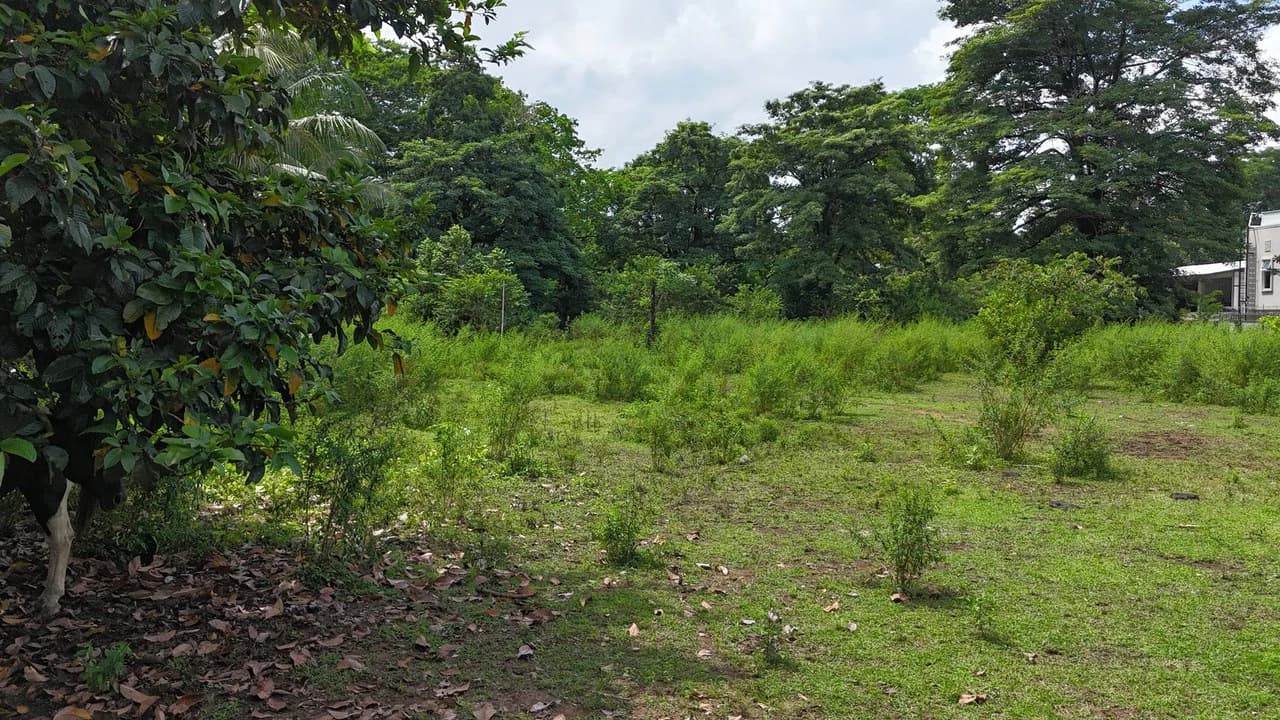 Walk to the beach, Developement Land, Mini Ranch, Central Uvita - photo 3