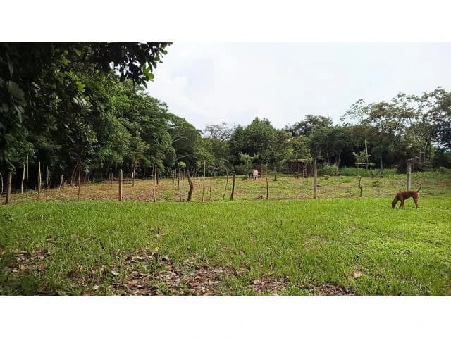 Charming Tico Home with Beautiful Green Garden for Sale in Bagaces - photo 12