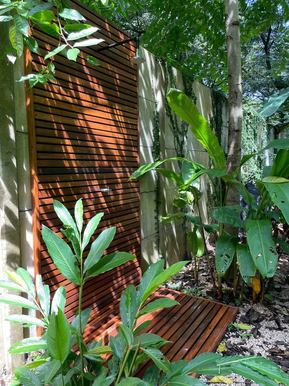 Casa Gala: New Modern and Tropical House Steps Away from Downtown and the Beach! - photo 21