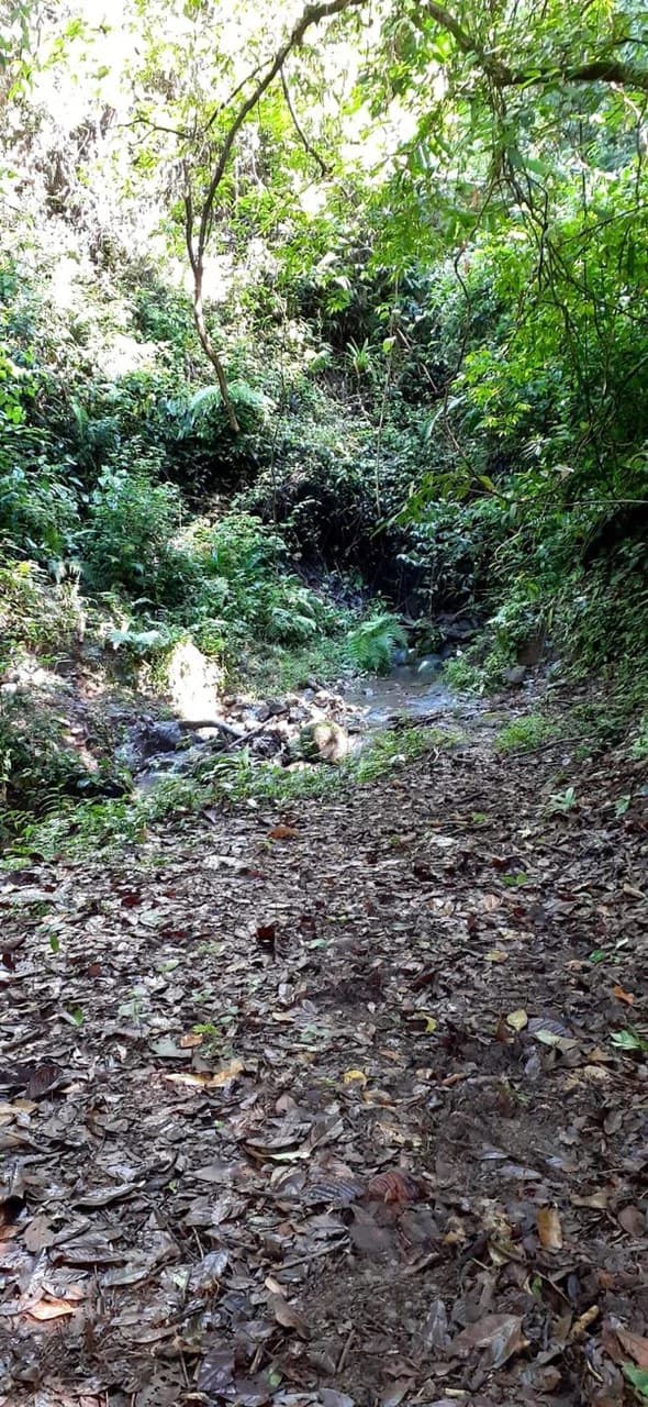 SECLUDED PARADISE WITH STUNNING VIEWS, WATERFALLS & ABUNDANT WILDLIFE - photo 34