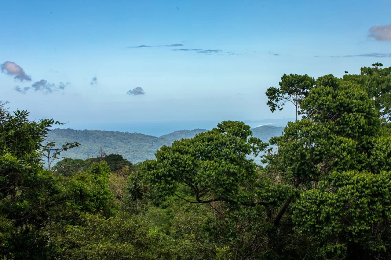 Extraordinary Ocean View Estate and Retreat Opportunity in the Diamante Valley Dominical - photo 77