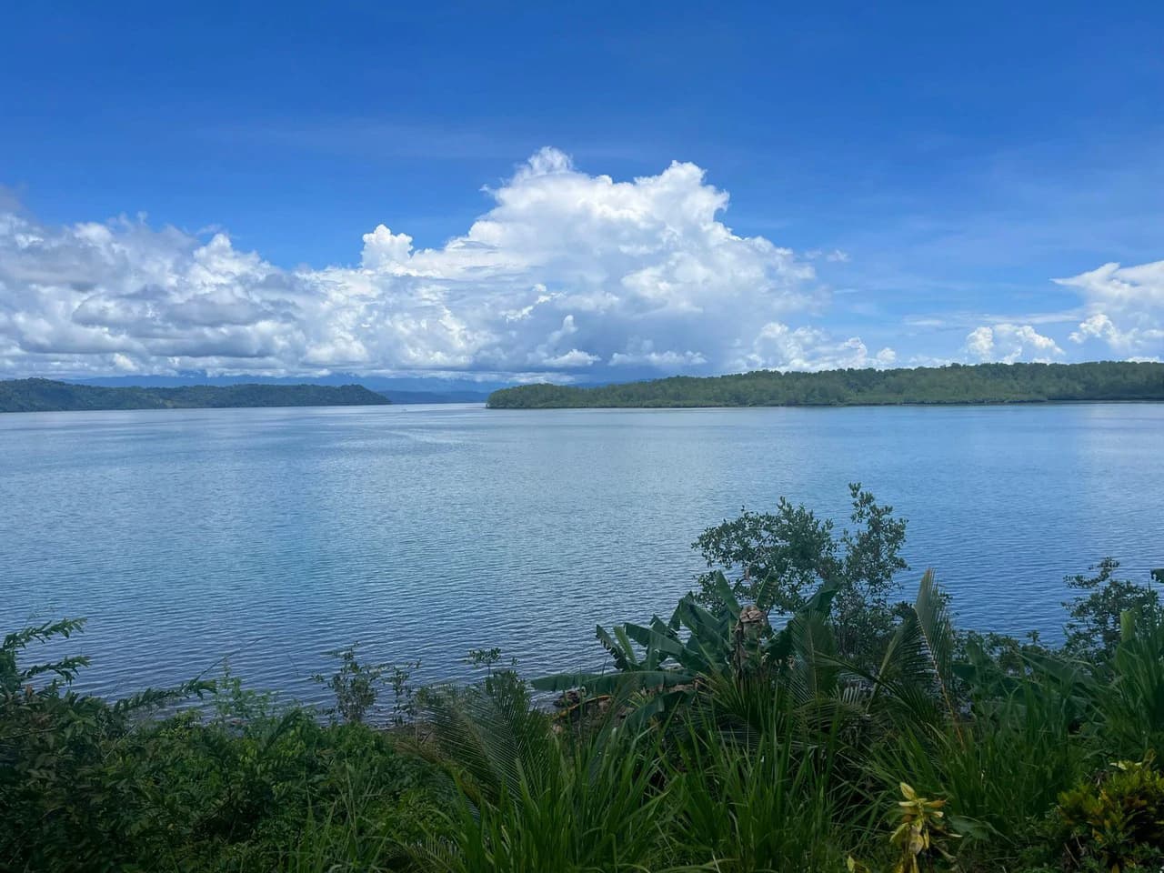 Finca La Palma, Puerto Jimenez: Excellent location ideal for development - photo 16