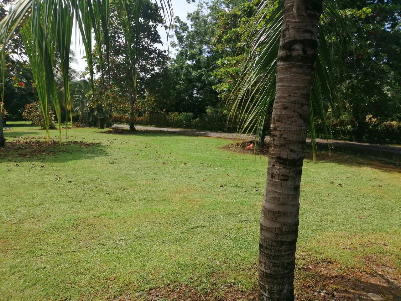 Amazing Home on Huge Lot Near the Beach - photo 50