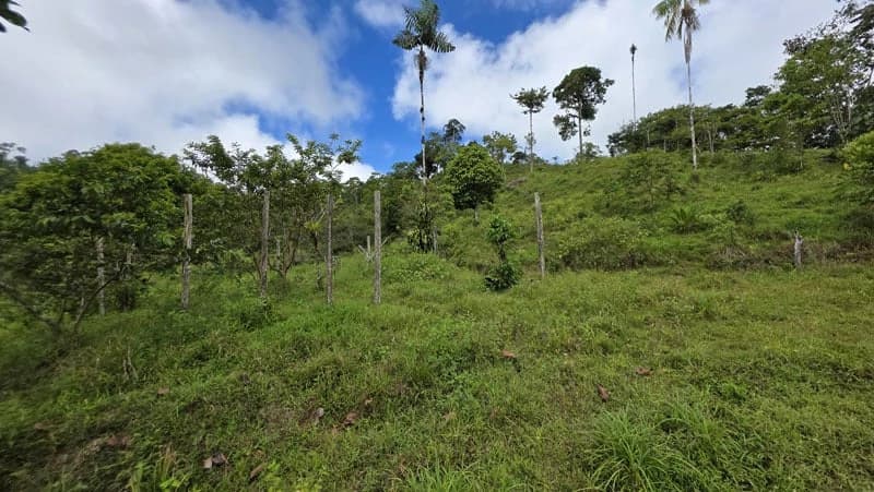 116-Hectare Finca for Sale Near Uvita with Whales Tail Views and 10 Waterfalls | La Faralla, Bahia Ballena, Uvita, Puntarenas, Costa Rica - photo 44