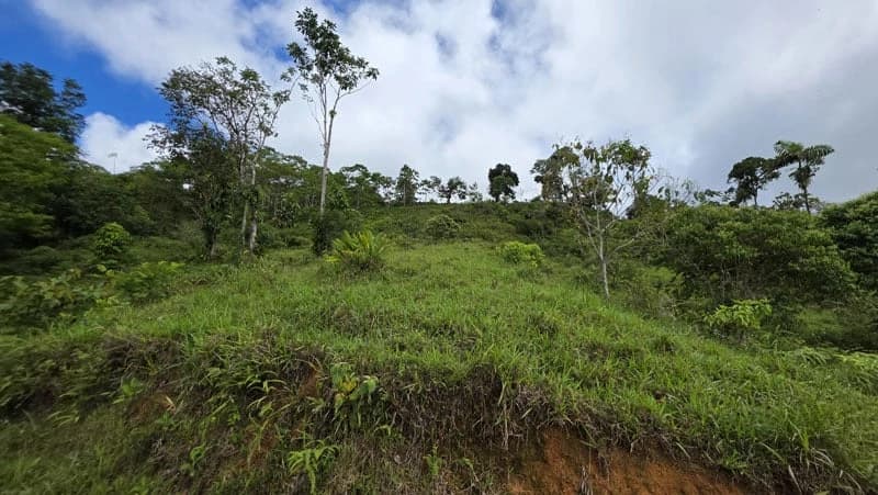 116-Hectare Finca for Sale Near Uvita with Whales Tail Views and 10 Waterfalls | La Faralla, Bahia Ballena, Uvita, Puntarenas, Costa Rica - photo 45