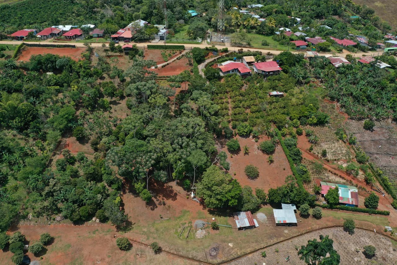 Prime 40,000 Sq. Ft. Building Lot with Mountain & Valley Views in Pérez Zeledón - photo 5