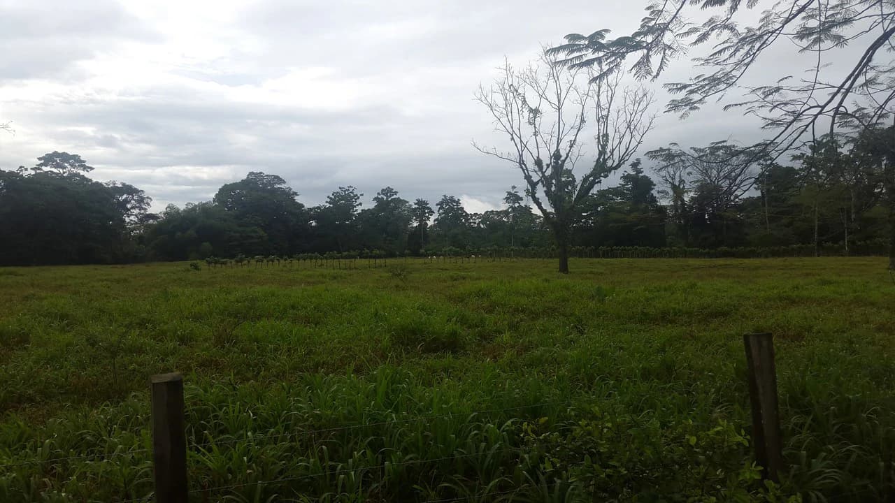 Countryside Development Parcel For Sale in Cariari - photo 3