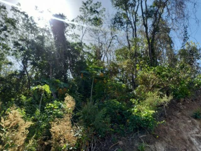 Building Lots for sale in a pristine and peacefull woodland 3 km from Samara Beach - photo 3