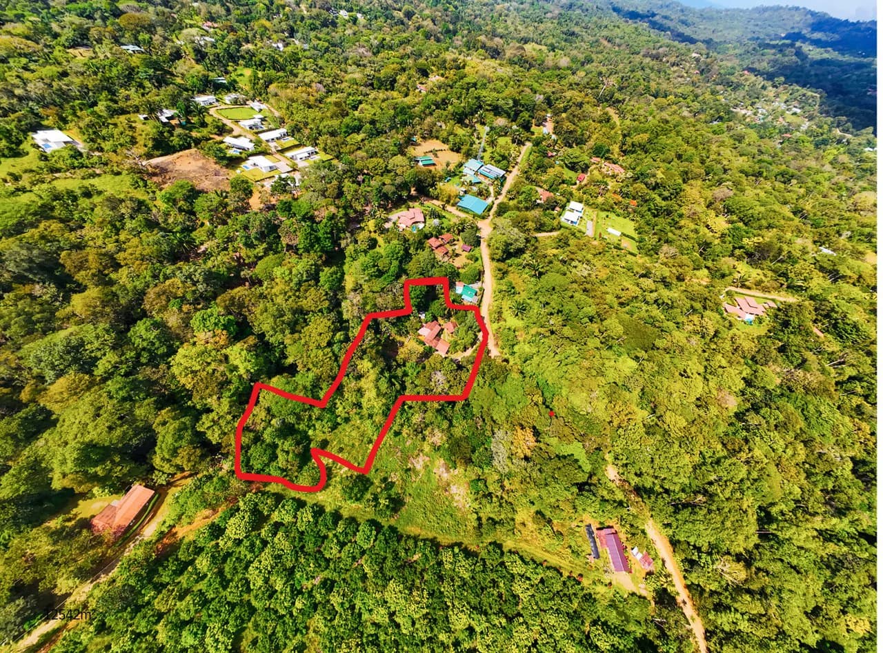 Serene Jungle Home + Guest Cabin on 3 Acres and River - photo 2