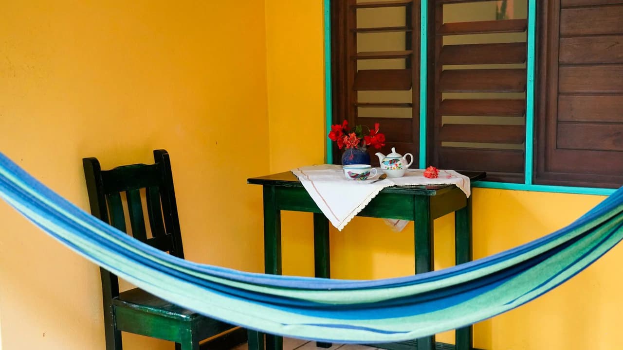 Established Caribbean Hotel: in the Heart of Puerto Viejo’s Vibrant Downtown Tourist Hub - photo 10