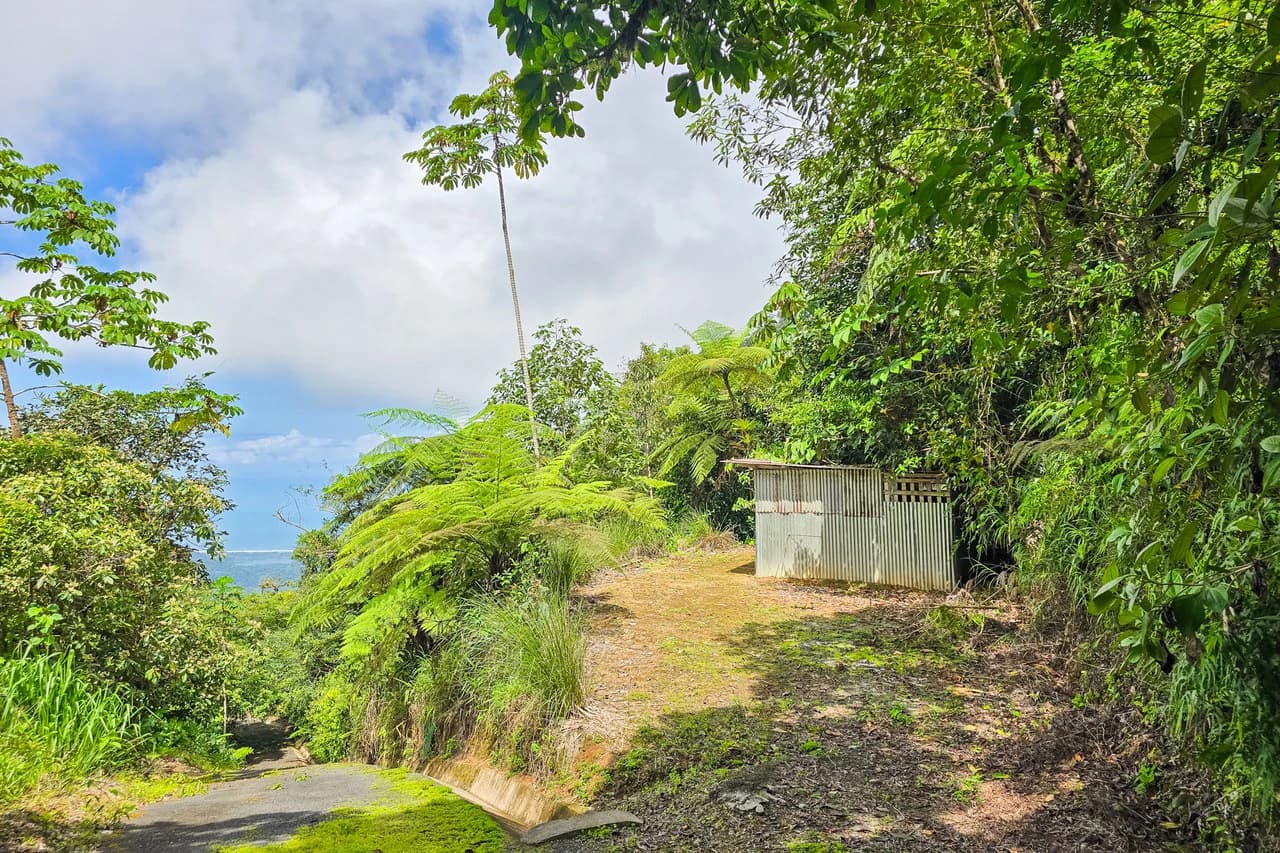 Near the Coast Home Construction Site For Sale in Ciudad Cortés - photo 13