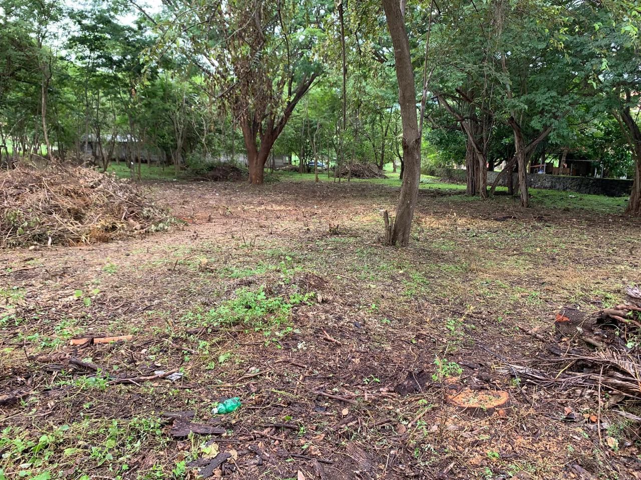 Great opportunity - Commercial property in Ocotal Beach - photo 6
