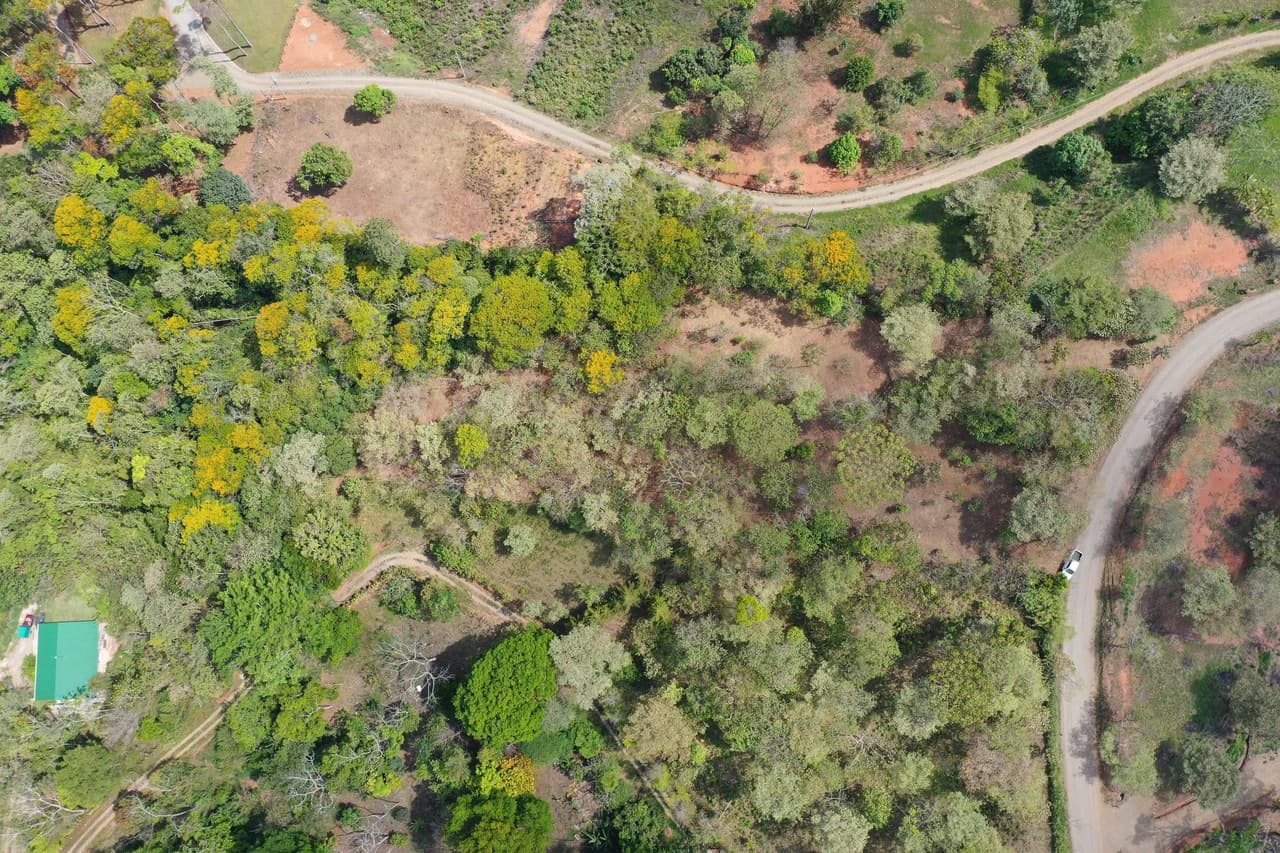 Elevated Two and a Half Acres with Cool Breeze in San Isidro del General - photo 11