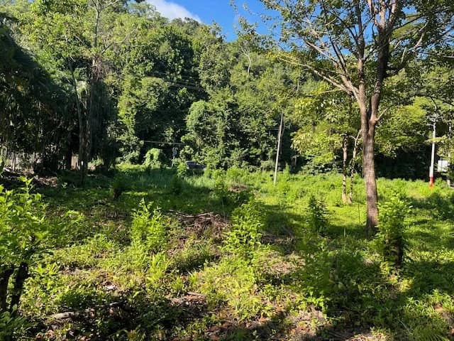 $439,950 USD Rare Titled Beachfront Lot in Playa Tambor - photo 5
