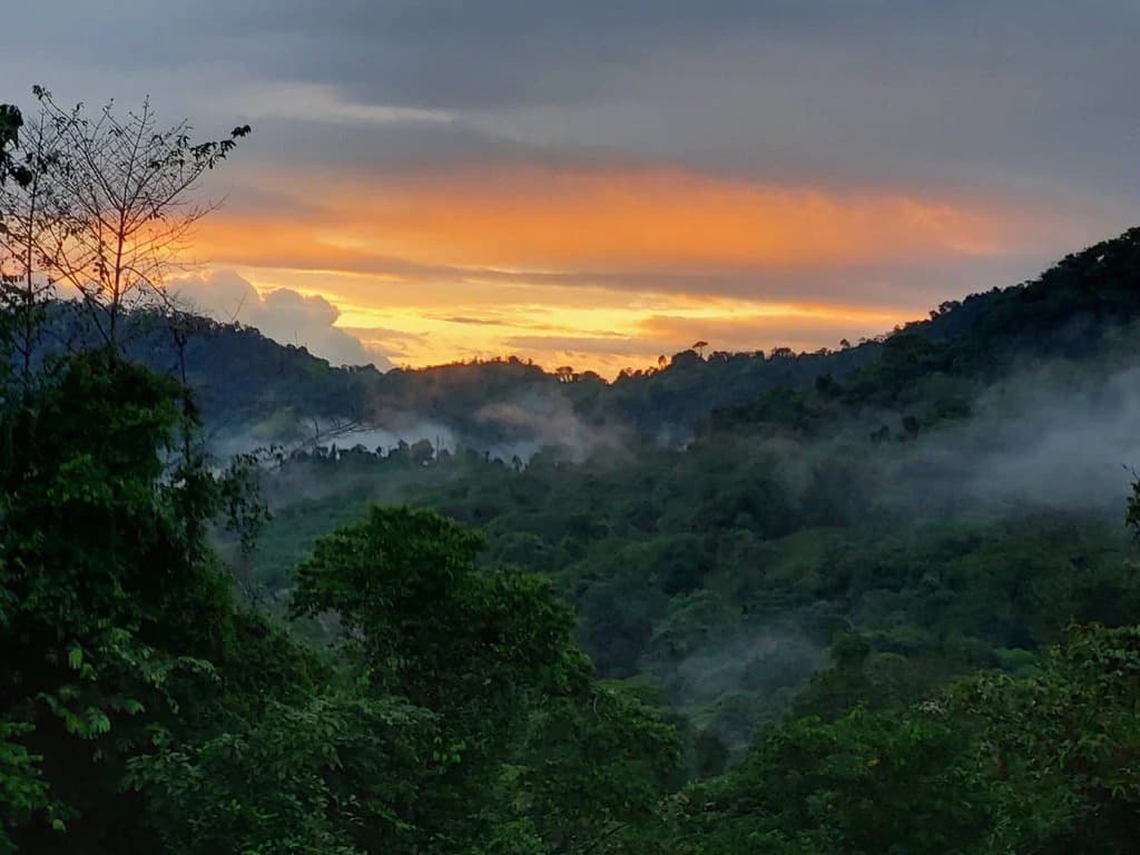 SECLUDED PARADISE WITH STUNNING VIEWS, WATERFALLS & ABUNDANT WILDLIFE