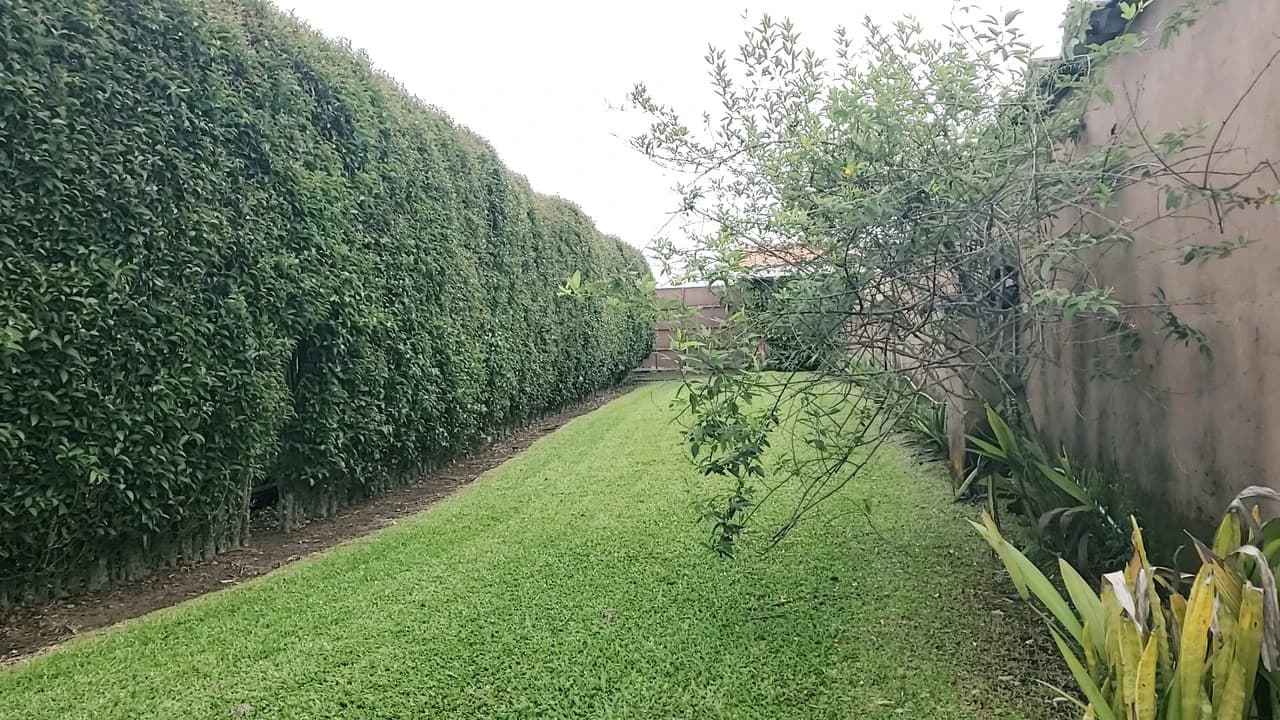 Villa For Sale in San Luis - photo 30