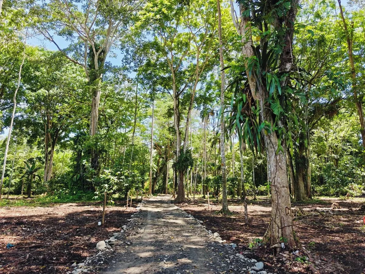 ID 961: Lot 4 - 5383 sqm - New Development on Old Yard Road, Cahuita - 300 Meters to the Beach