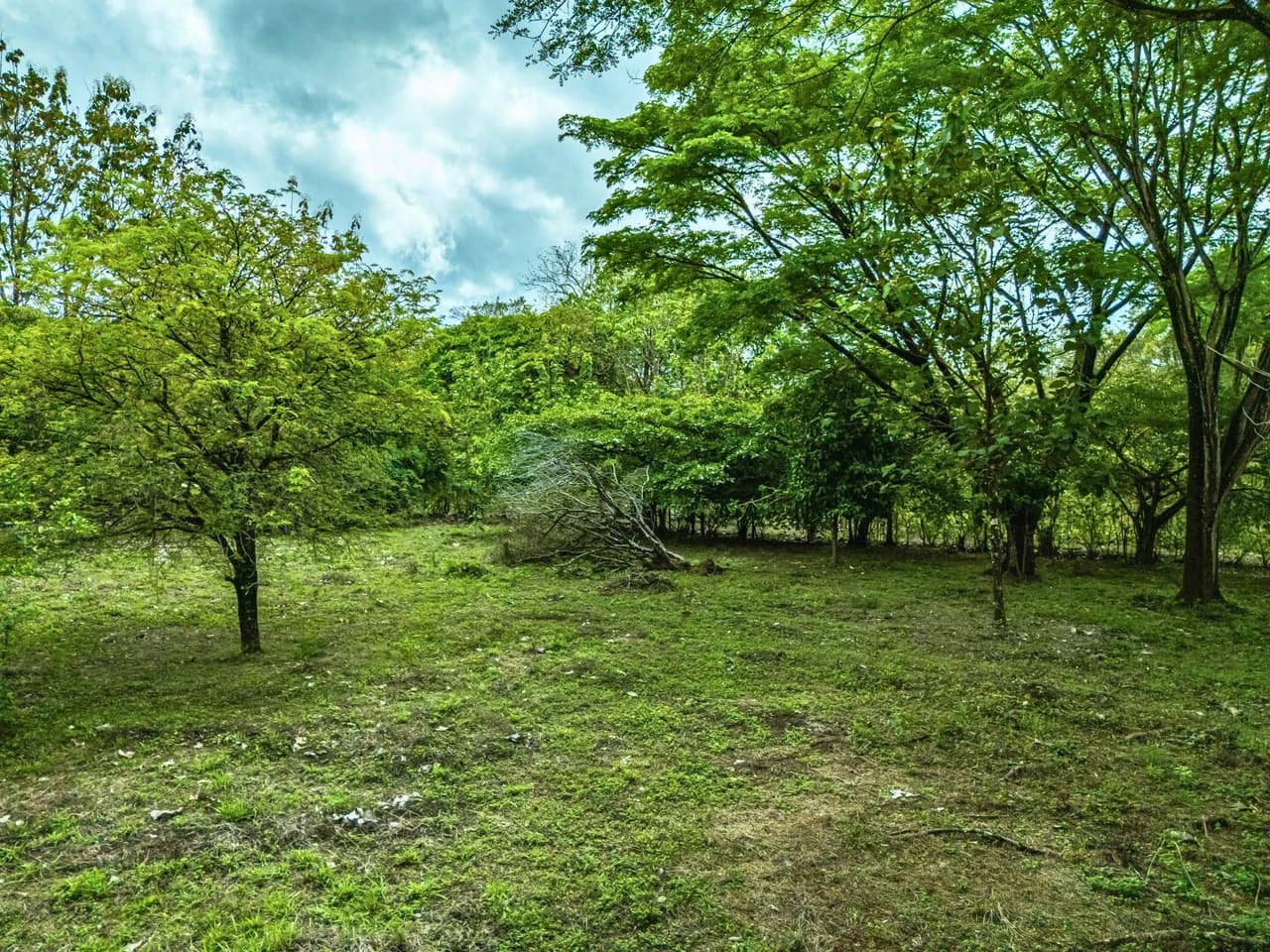 Marbella Dream Lot: 2.4 Acres of Natural Beauty Near the Beach - photo 6