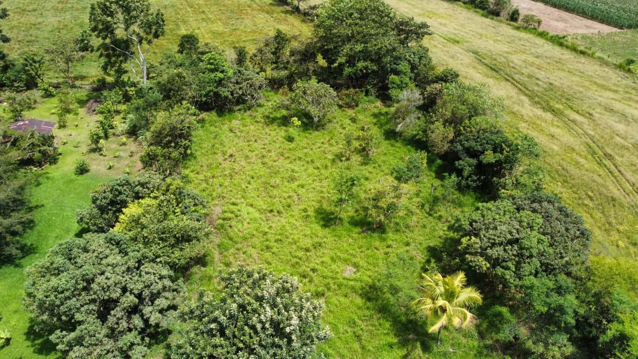 Se vende propiedad en el Rosario Pacuar, Pérez Zeledón.: Countryside Home Construction Site For Sale in Daniel Flores - photo 14