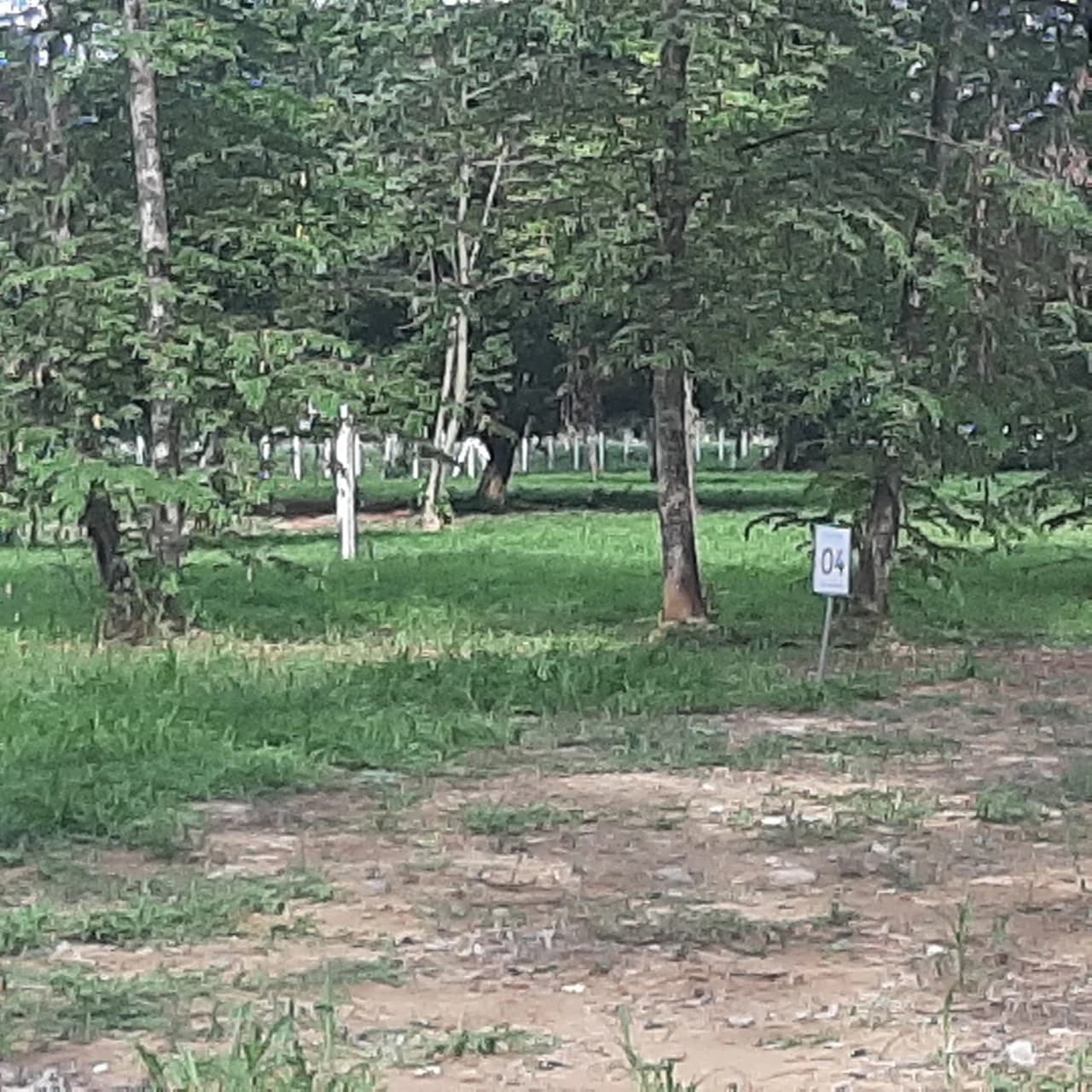 2000sqm lots close to the coast available now - photo 4