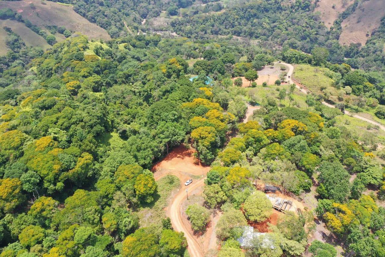2.5 Acre Jungle and Valley View Home site in Dominical - photo 12
