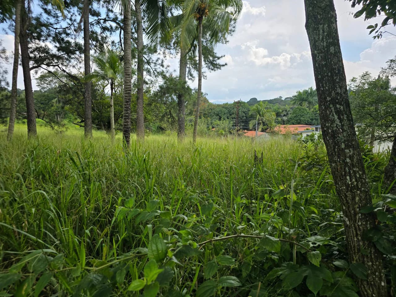 Land for sale in Residencial Montisel - photo 3