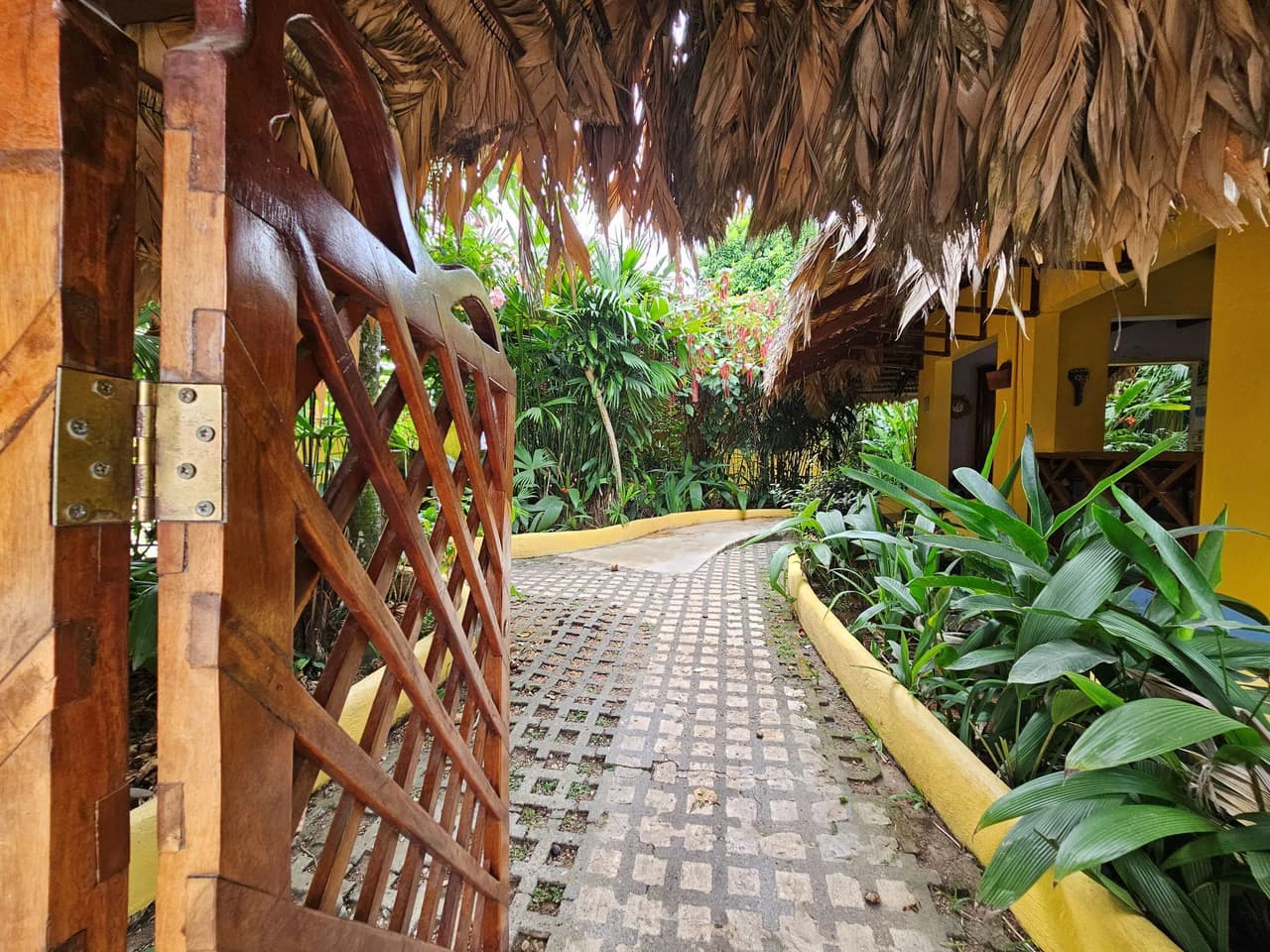 Established Caribbean Hotel: in the Heart of Puerto Viejo’s Vibrant Downtown Tourist Hub - photo 15