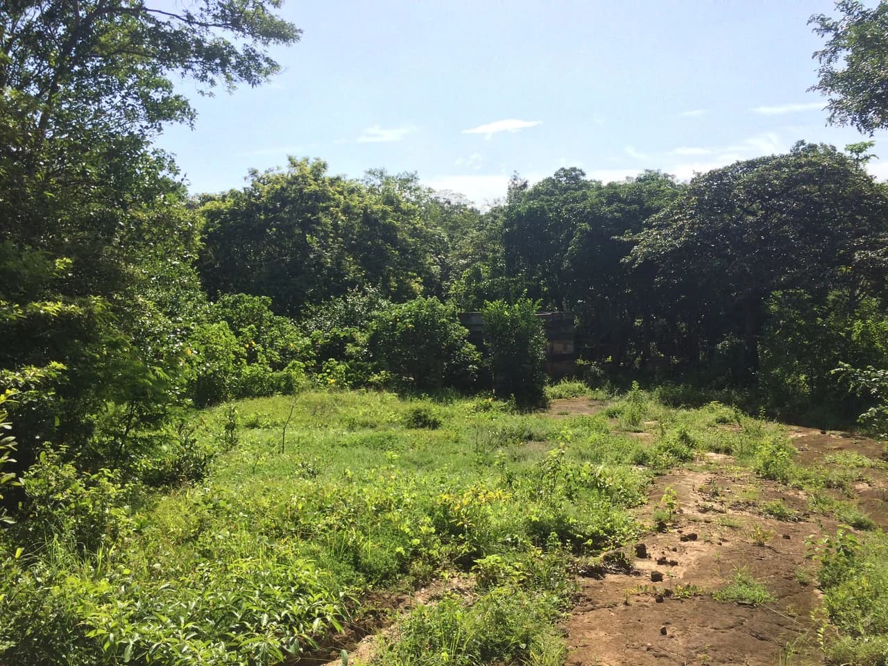Finca de 31 hectáreas en Liberia: Great investment opportunity - photo 8