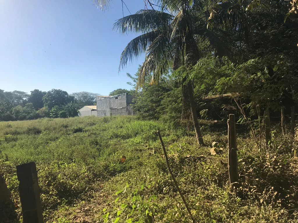 Large beach property in Playas del Coco - photo 9