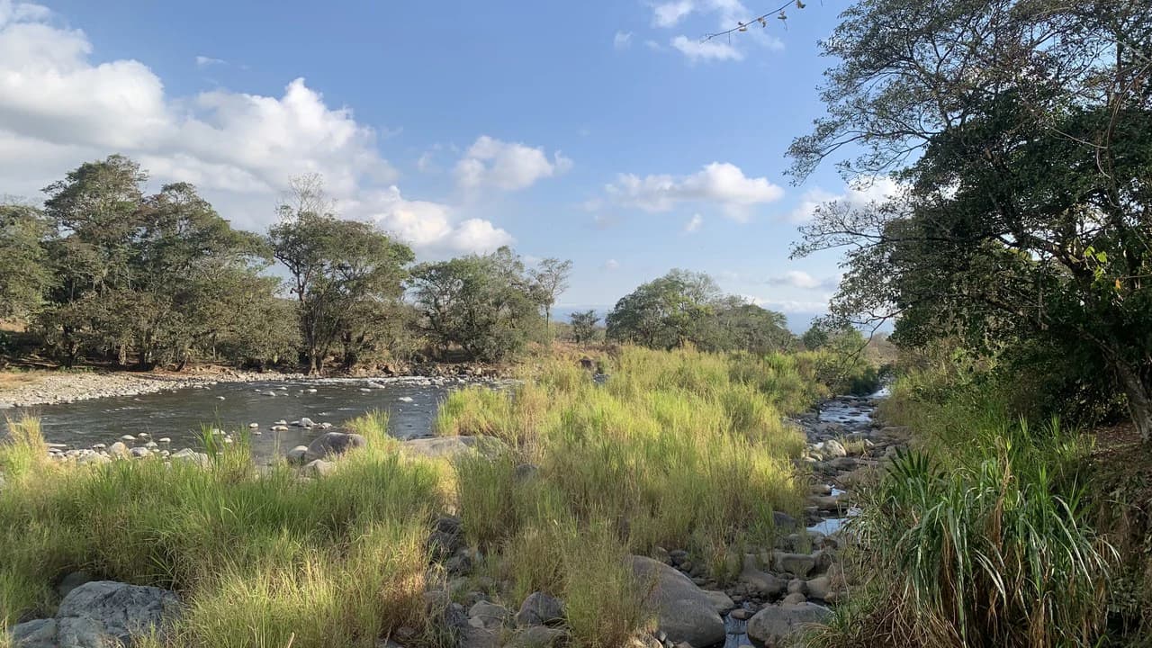 Talari Hotel: Nature and Bird Lover's Paradise - Mountain Lodge - photo 26