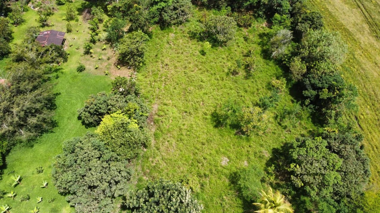 Se vende propiedad en el Rosario Pacuar, Pérez Zeledón.: Countryside Home Construction Site For Sale in Daniel Flores - photo 12