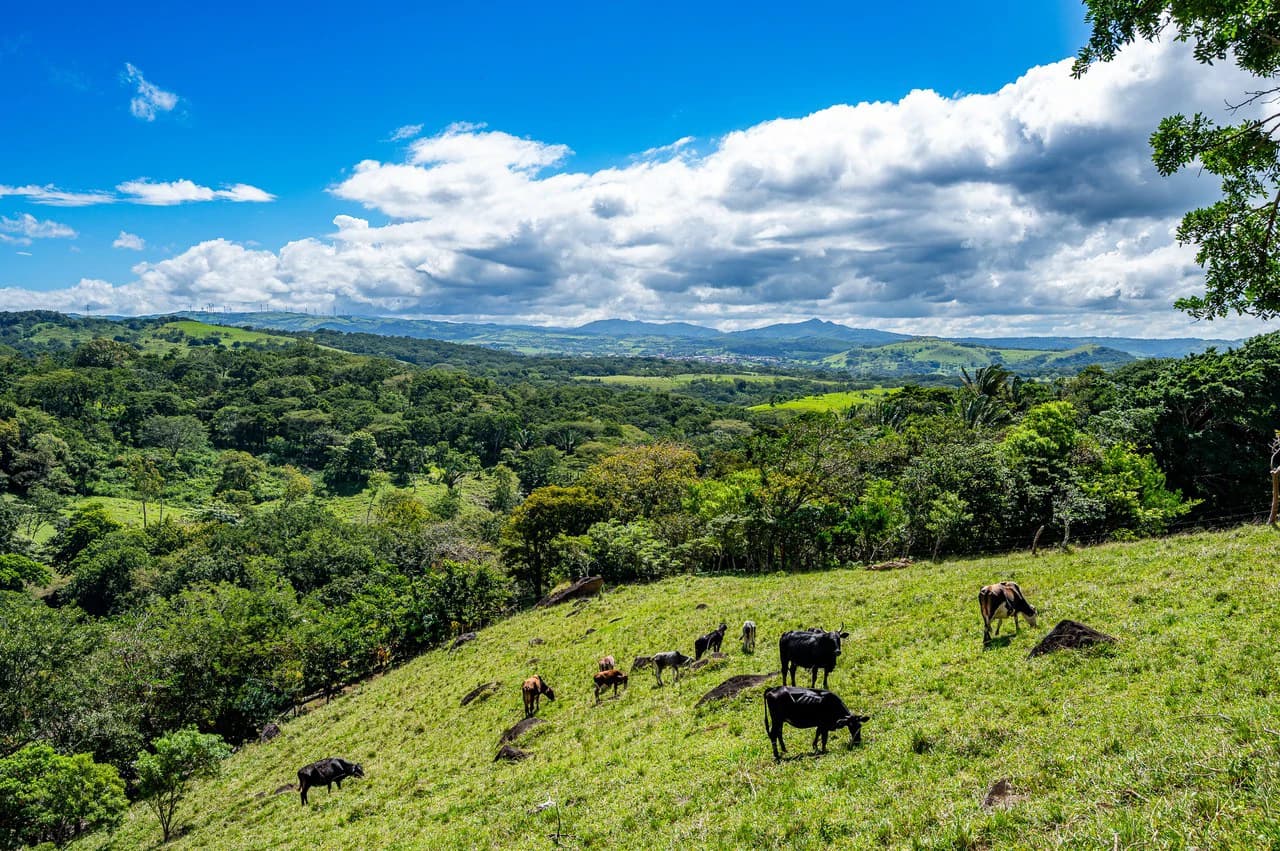 LA CABAÑA - 13+ ACRES & a TINY HOUSE & outstanding VIEWS - REDUCED PRICE - SELLER MOTIVATED - photo 34