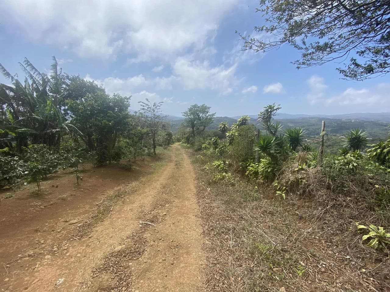 Farm with Exceptional Potential for Sale in San Ramón, Alajuela - photo 3