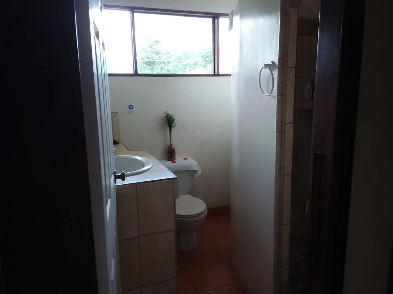 Beach Boutique Hotel for sale, Turn Key business opportunity in an established community in Playa Carrillo, Guanacaste - photo 16