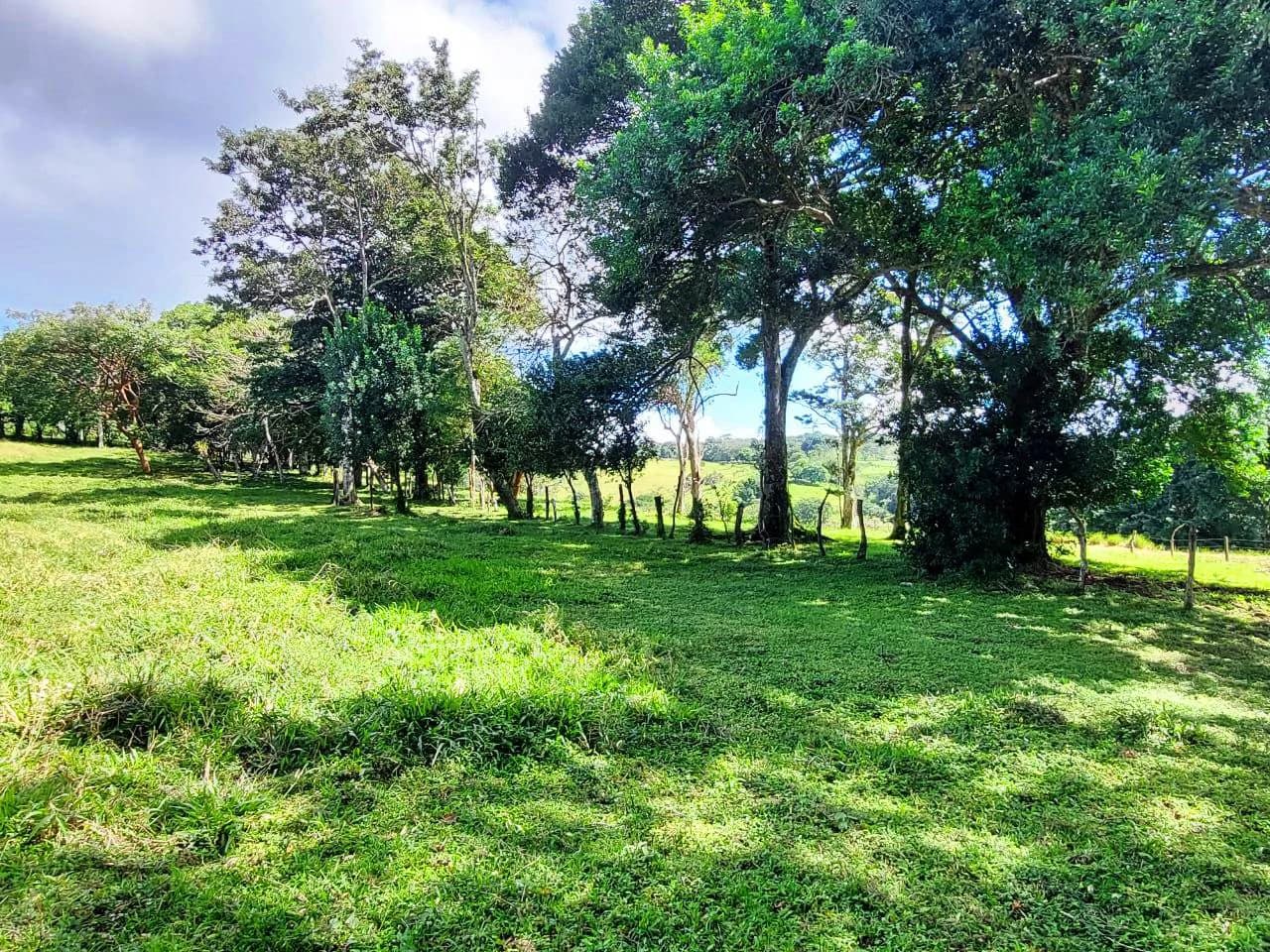 LA CABAÑA - 13+ ACRES & a TINY HOUSE & outstanding VIEWS - REDUCED PRICE - SELLER MOTIVATED - photo 24