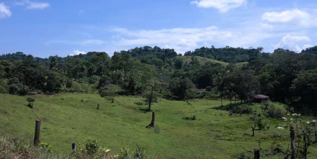 Countryside and Mountain Property For Sale in Pococi - photo 10