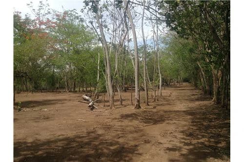 Commercial land in Guanacaste 0.87ha : 900701029-120 - photo 9
