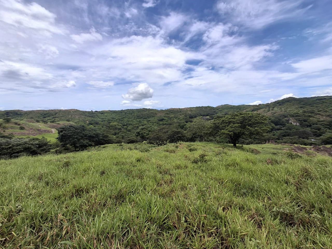 REDUCED! Natural beauty meets Tranquility!: 70,000m2 in Growing Geothermal Eco-Tourism area! - photo 5