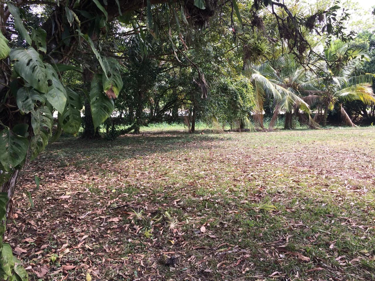 Propiedad grande: Countryside Home Construction Site For Sale in Caño Negro - photo 8