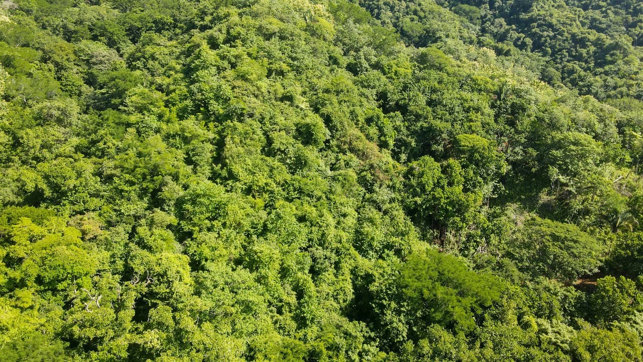 Farm for sale Bejuco Nandayure Guanacaste Costa Rica - photo 6